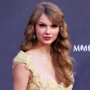 taylor swift 24 inch chocolate brown wave wigs